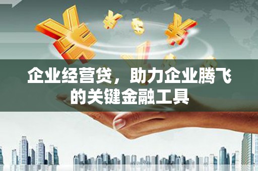 界首企业经营贷，助力企业腾飞的关键金融工具