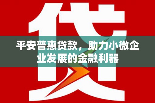 界首平安普惠贷款，助力小微企业发展的金融利器