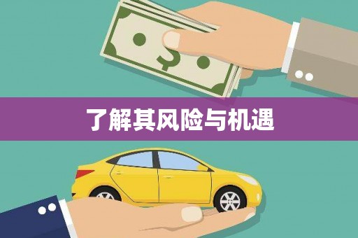 界首了解其风险与机遇