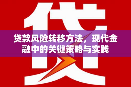 界首贷款风险转移方法，现代金融中的关键策略与实践