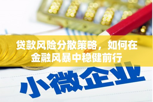 界首贷款风险分散策略，如何在金融风暴中稳健前行