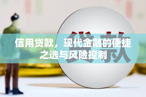 界首信用贷款，现代金融的便捷之选与风险控制