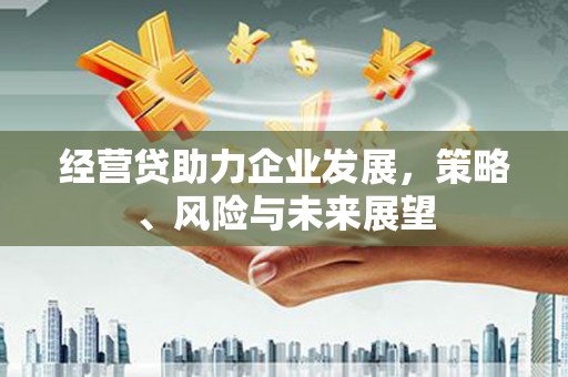 界首经营贷助力企业发展，策略、风险与未来展望