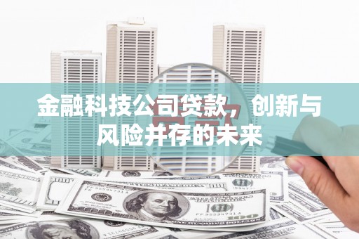 界首金融科技公司贷款，创新与风险并存的未来
