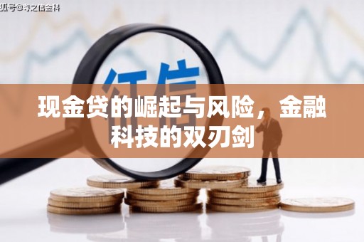 界首现金贷的崛起与风险，金融科技的双刃剑