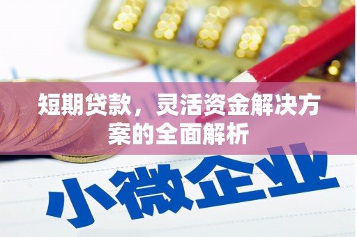 界首短期贷款，灵活资金解决方案的全面解析
