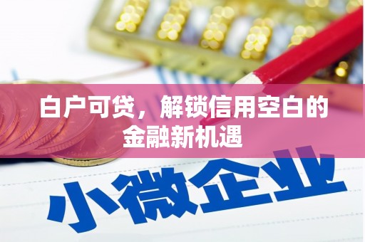 界首白户可贷，解锁信用空白的金融新机遇