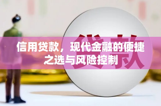 界首信用贷款，现代金融的便捷之选与风险控制