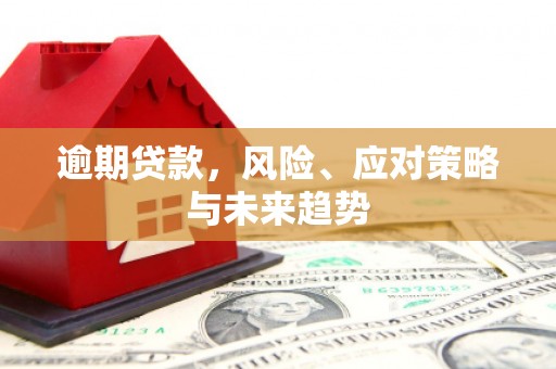 界首逾期贷款，风险、应对策略与未来趋势