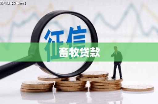 界首畜牧贷款