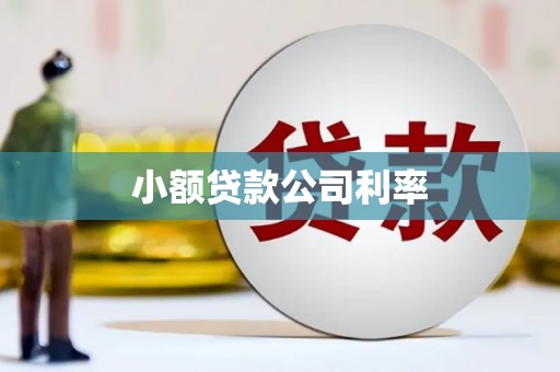 界首小额贷款公司利率