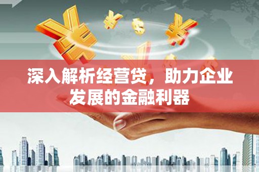 界首深入解析经营贷，助力企业发展的金融利器