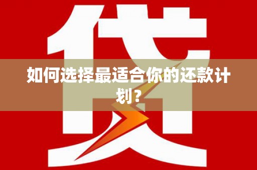 界首如何选择最适合你的还款计划？
