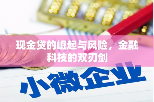界首现金贷的崛起与风险，金融科技的双刃剑