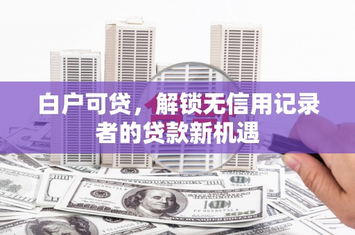 界首白户可贷，解锁无信用记录者的贷款新机遇