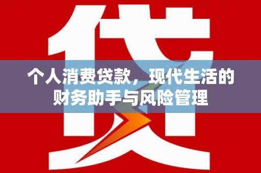 界首个人消费贷款，现代生活的财务助手与风险管理