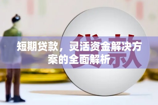 界首短期贷款，灵活资金解决方案的全面解析
