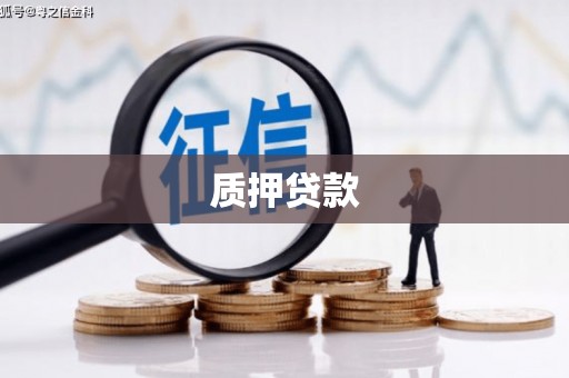 界首质押贷款