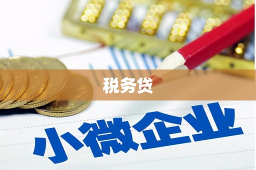 界首税务贷