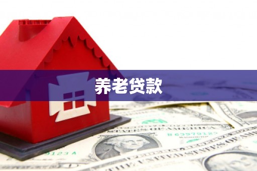 界首养老贷款