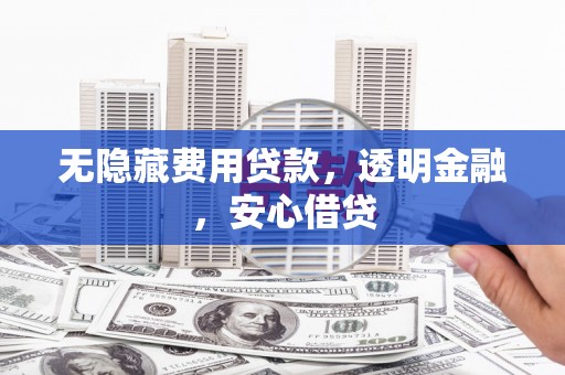 界首无隐藏费用贷款，透明金融，安心借贷