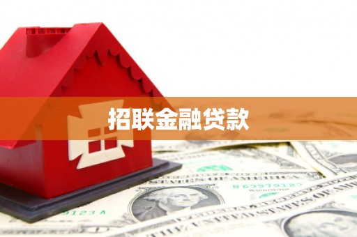 界首招联金融贷款