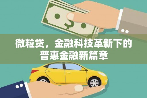 界首微粒贷，金融科技革新下的普惠金融新篇章