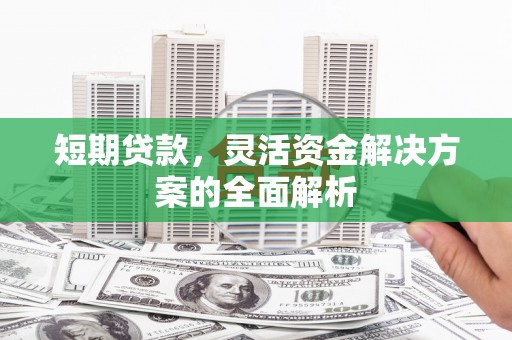界首短期贷款，灵活资金解决方案的全面解析