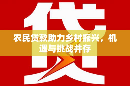 界首农民贷款助力乡村振兴，机遇与挑战并存