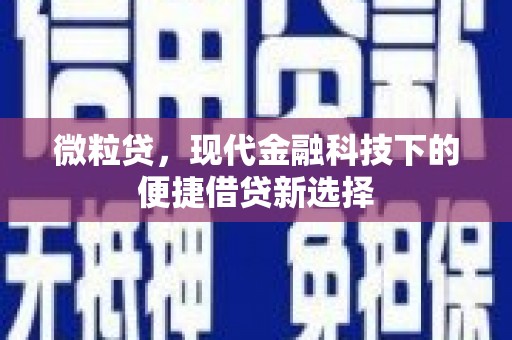 界首微粒贷，现代金融科技下的便捷借贷新选择
