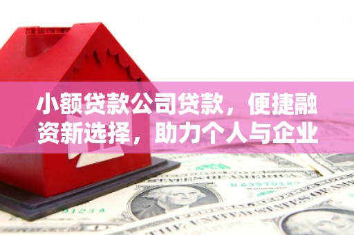 界首小额贷款公司贷款，便捷融资新选择，助力个人与企业成长