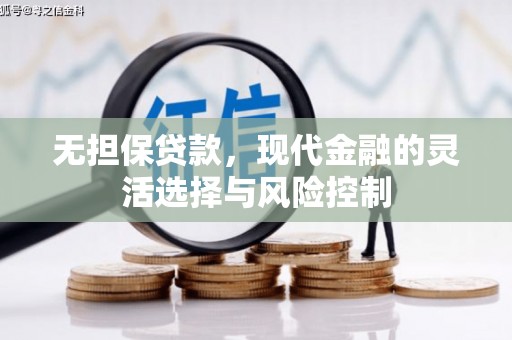 界首无担保贷款，现代金融的灵活选择与风险控制