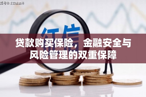 界首贷款购买保险，金融安全与风险管理的双重保障