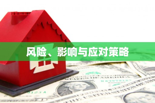 界首风险、影响与应对策略