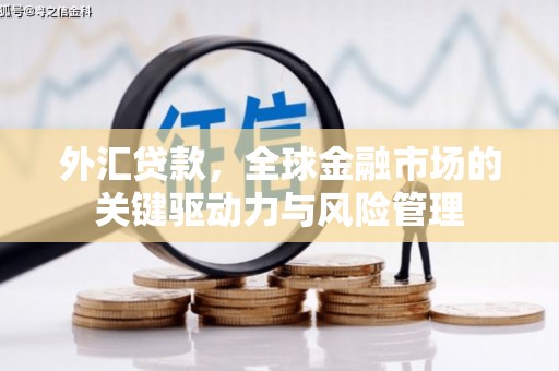 界首外汇贷款，全球金融市场的关键驱动力与风险管理