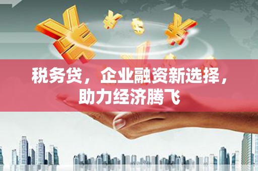 界首税务贷，企业融资新选择，助力经济腾飞