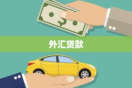 界首外汇贷款
