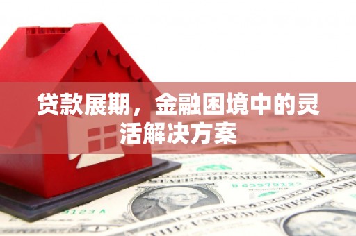 界首贷款展期，金融困境中的灵活解决方案