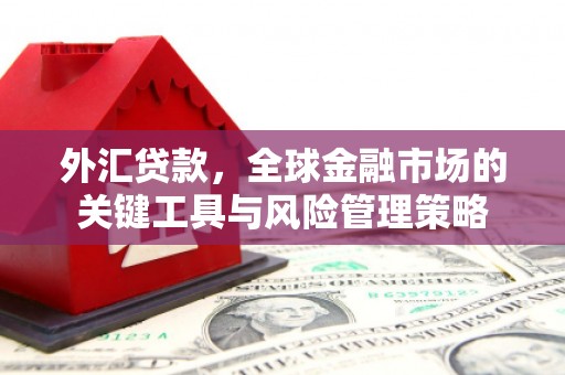 界首外汇贷款，全球金融市场的关键工具与风险管理策略