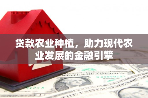 界首贷款农业种植，助力现代农业发展的金融引擎