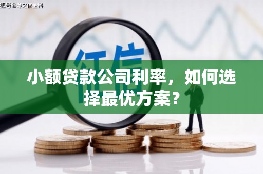 界首小额贷款公司利率，如何选择最优方案？