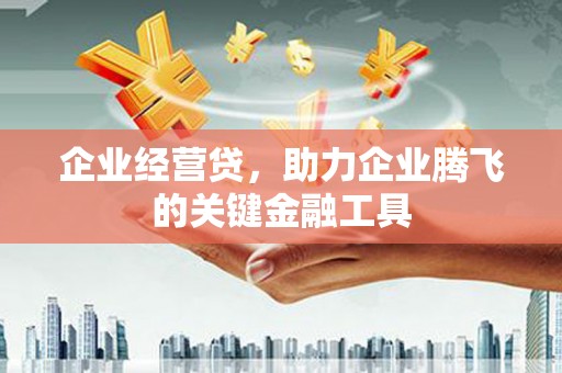 界首企业经营贷，助力企业腾飞的关键金融工具