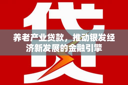 界首养老产业贷款，推动银发经济新发展的金融引擎