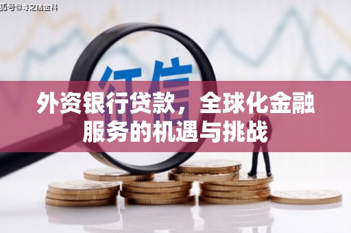 界首外资银行贷款，全球化金融服务的机遇与挑战
