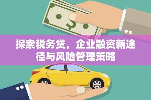 界首探索税务贷，企业融资新途径与风险管理策略