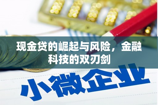界首现金贷的崛起与风险，金融科技的双刃剑
