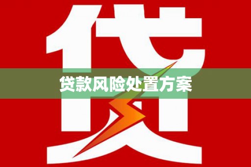 界首贷款风险处置方案