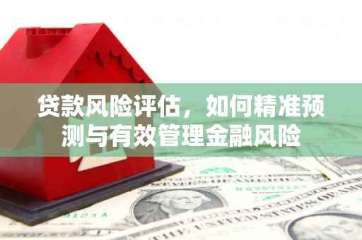 界首贷款风险评估，如何精准预测与有效管理金融风险