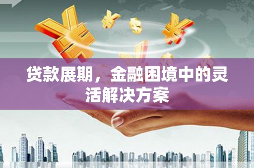 界首贷款展期，金融困境中的灵活解决方案