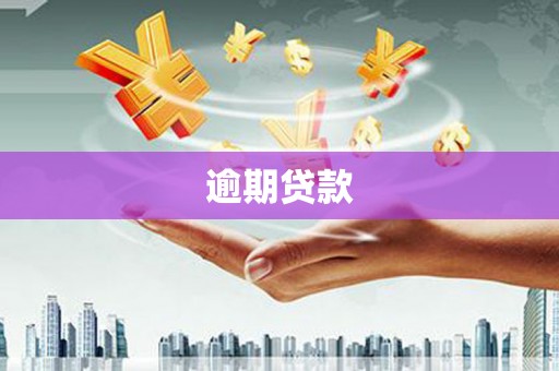 界首逾期贷款